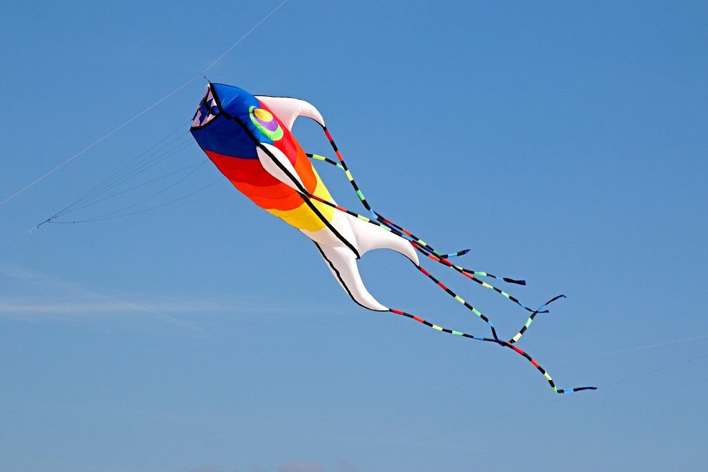 Cerfs-Volants vliegerfestival festival festiviteit evenement event berck sur mer vlieger speelgoed strand